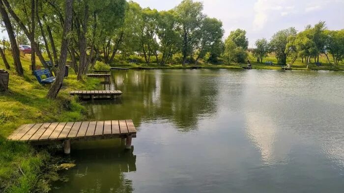Сосенки платная рыбалка. Культурно рыболовное хозяйство " сосенки ". Софьинский пруд. Пруд сосенки. Река малая сосенка коммунарка.
