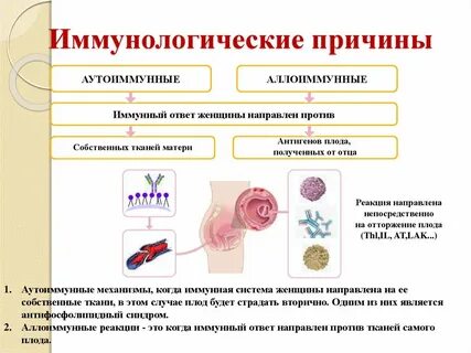 Иммунное отторжение