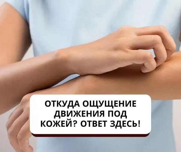 Где ощущения