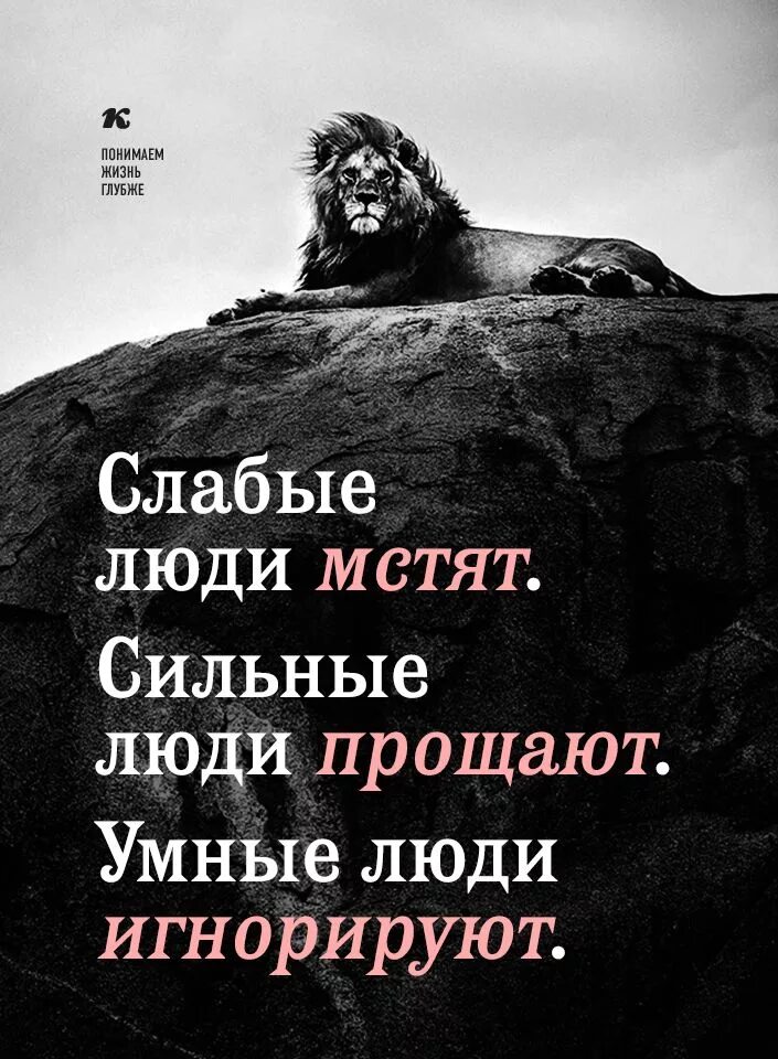 Стать сильнее цитаты. Умные цитаты. мудрые слова. мудрые цитаты. мудрые фразы.