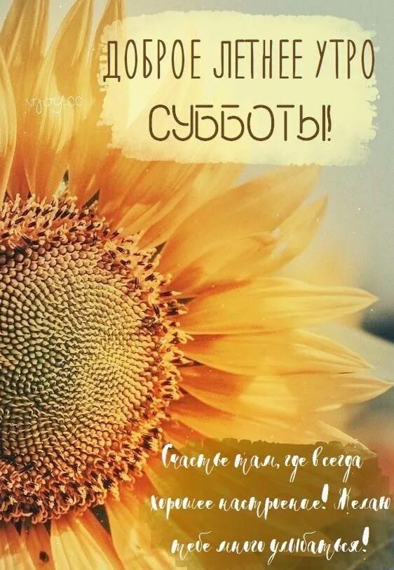 Слова с добрым утром августа