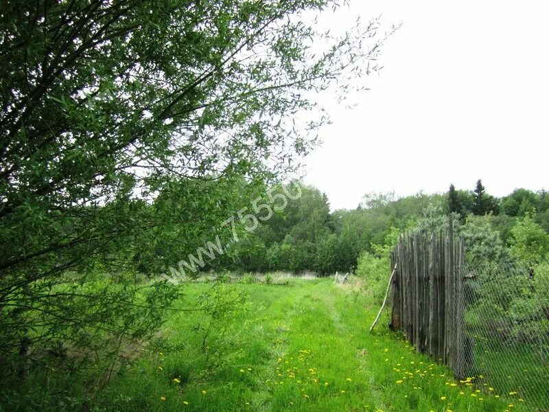 коттеджный поселок лисьи горки белоярский район. дуброво земельные участки. дуброво московская область дмитровский район. чат снт брусянка. дуброво земельные участки.