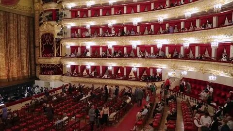 Ложа видео
