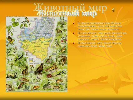 Опишите животный мир своей местности