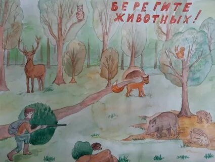 Рисунок береги животных 3 класс окружающий мир