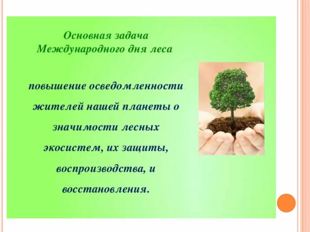 День леса в доу отчет. Международный день леса. Международный день леса презентация для детей. День леса сообщение. Презентация Международный день леса 2021.