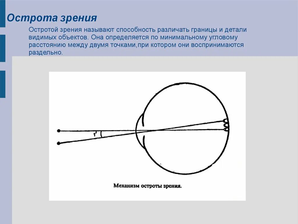 От чего зависит острота зрения. Острота зрения. Острота зрения это способность. Острота зрения глаз. Что называется остротой зрения?.