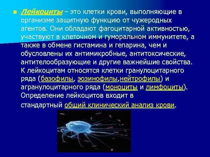 Защитную функцию в организме выполняют