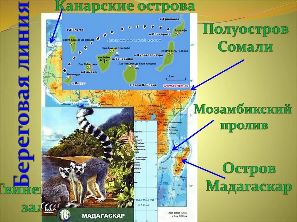 Положение африки относительно заливов проливов. Полуостров сомали и остров мадагаскар. полуостров: сомали острова: мадагаскар, канарские. острова: мадагаскар, канарские ,. расположение африки относительно других материков.