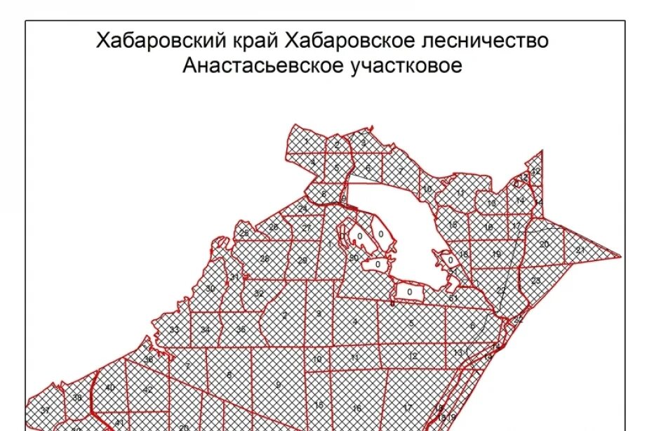 Хабаровское участковое лесничество. Участковое лесничество. Планшет лесничества. Карта лесов Хабаровского края. Карта участков лесничества