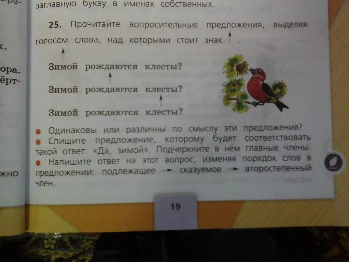 Прочитайте предложения выделяя голосом. Прочитайте вопросительные предложения выделяя голосом. прочитайте вопросительные предложения выделяя голосом слова. списать предложения 1 класс. спиши предложения 1 класс карточки.