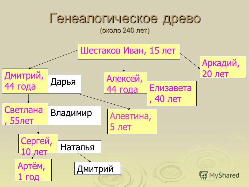 Что такое династия 6 класс. Династия семьи. презентация династии. родословная учительской династии.