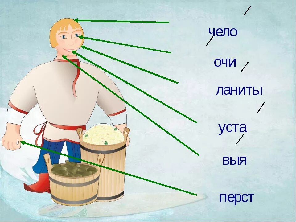 Ч выя. Старинные названия частей тела. Старорусские названия частей тела. Устаревшие названия частей тела. Ланиты.