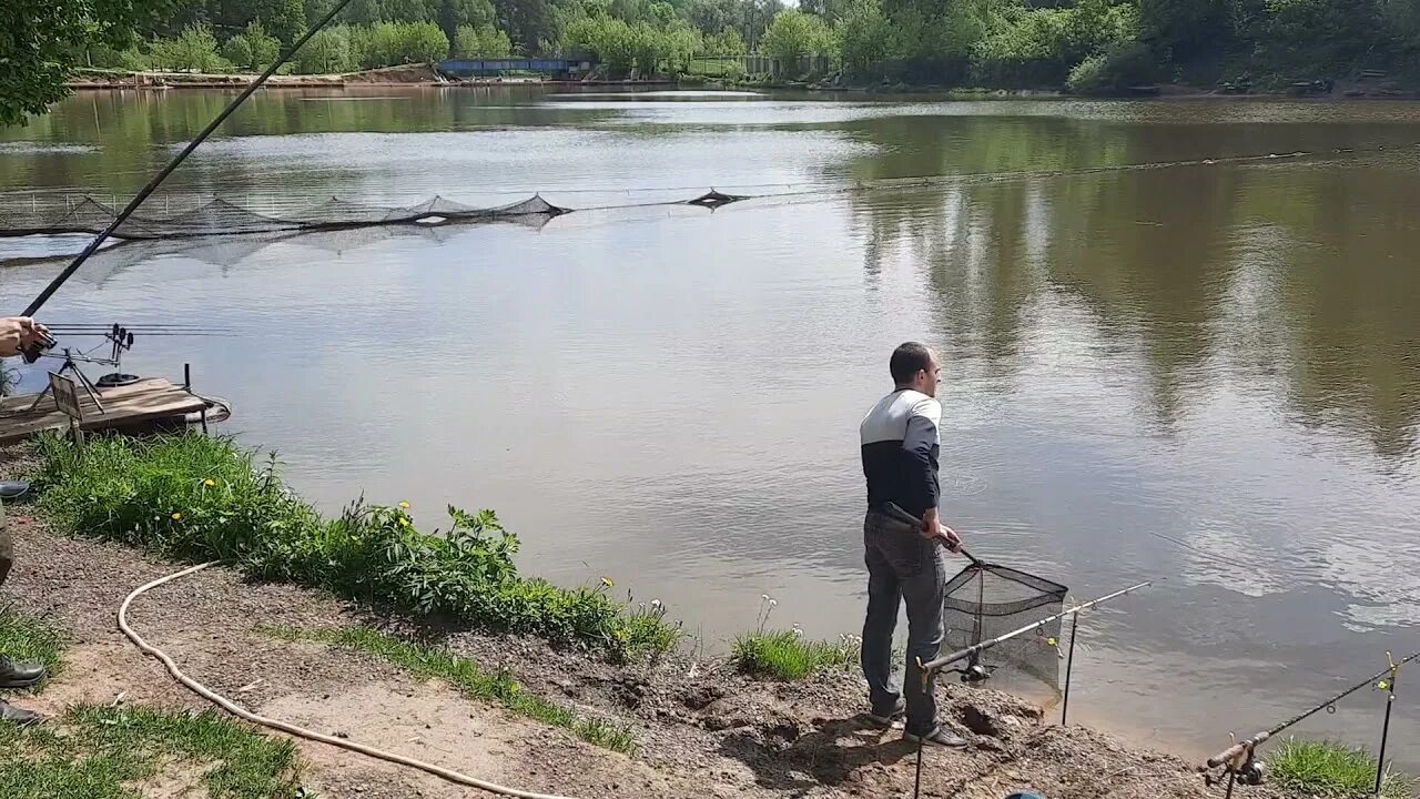 Биг карп красногорск платная рыбалка форум русфишинг. Биг Карп Красногорск плотина. Рыбалка Биг Карп. Биг Карп платная рыбалка. Рыбалка Карп Красногорск.