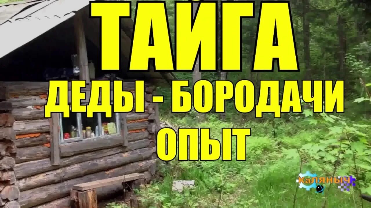 Аудио рассказы коляныча. Коляныч тайга. дед макарыч в тайге. коляныч тайга аудио рассказы. таёжные истории коляныч.