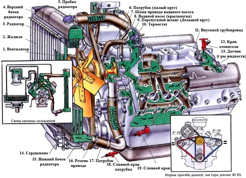 Работа охлаждения автомобилей. Система охлаждения ДВС ЯМЗ 238. Система охлаждения ЯМЗ 238 на КАМАЗЕ. Система охлаждения двигателя МАЗ 238. Система охлаждения ДВС ЯМЗ 236 схема.