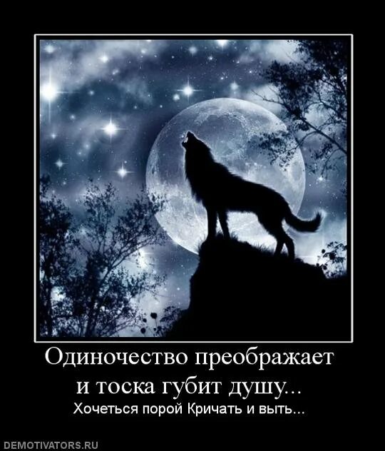 Выть начну