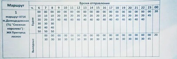 871к автобус расписание пригород Лесное. Расписание 23 автобуса Домодедово. Автобус 367 расписание пригород Лесное до Домодедовской. Расписание 45 автобуса Домодедово.