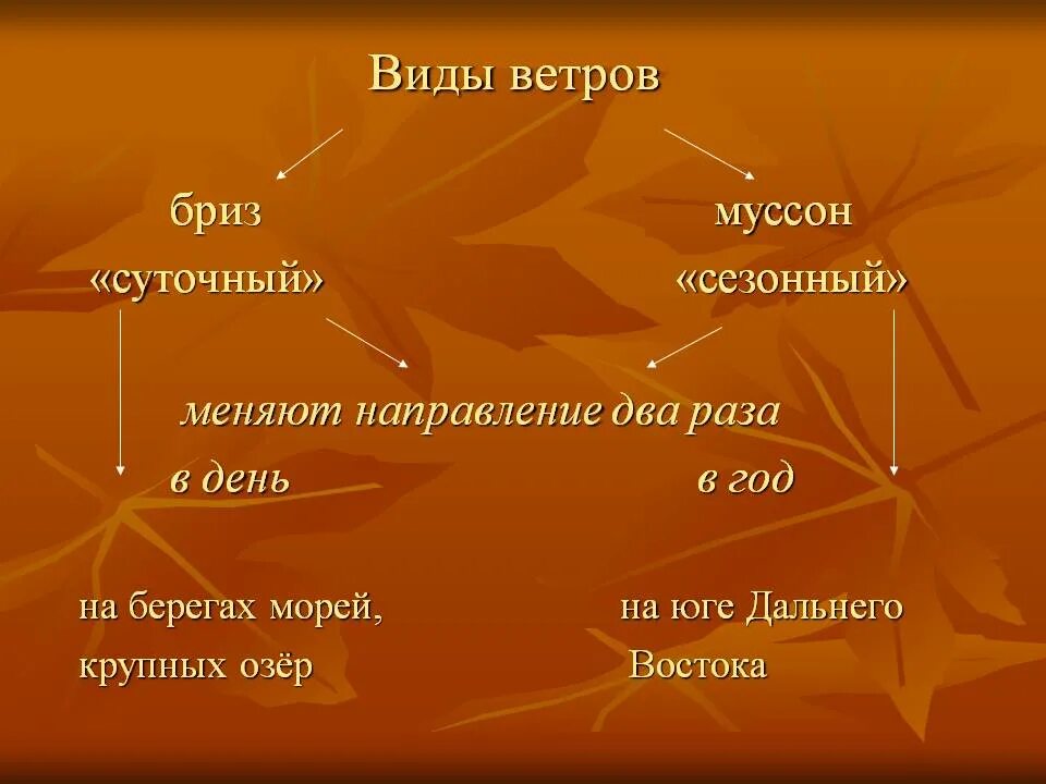 Виды ветров. Какие есть виды ветра. Виды ветров Муссон. Ветры виды география.