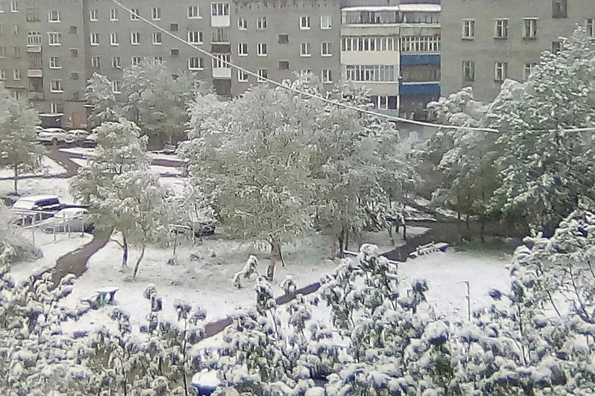 Летний снег. В Мурманской области выпал снег. Снег летом в Мурманске. Снегопад в Мурманске. Первый снег в Мурманске.