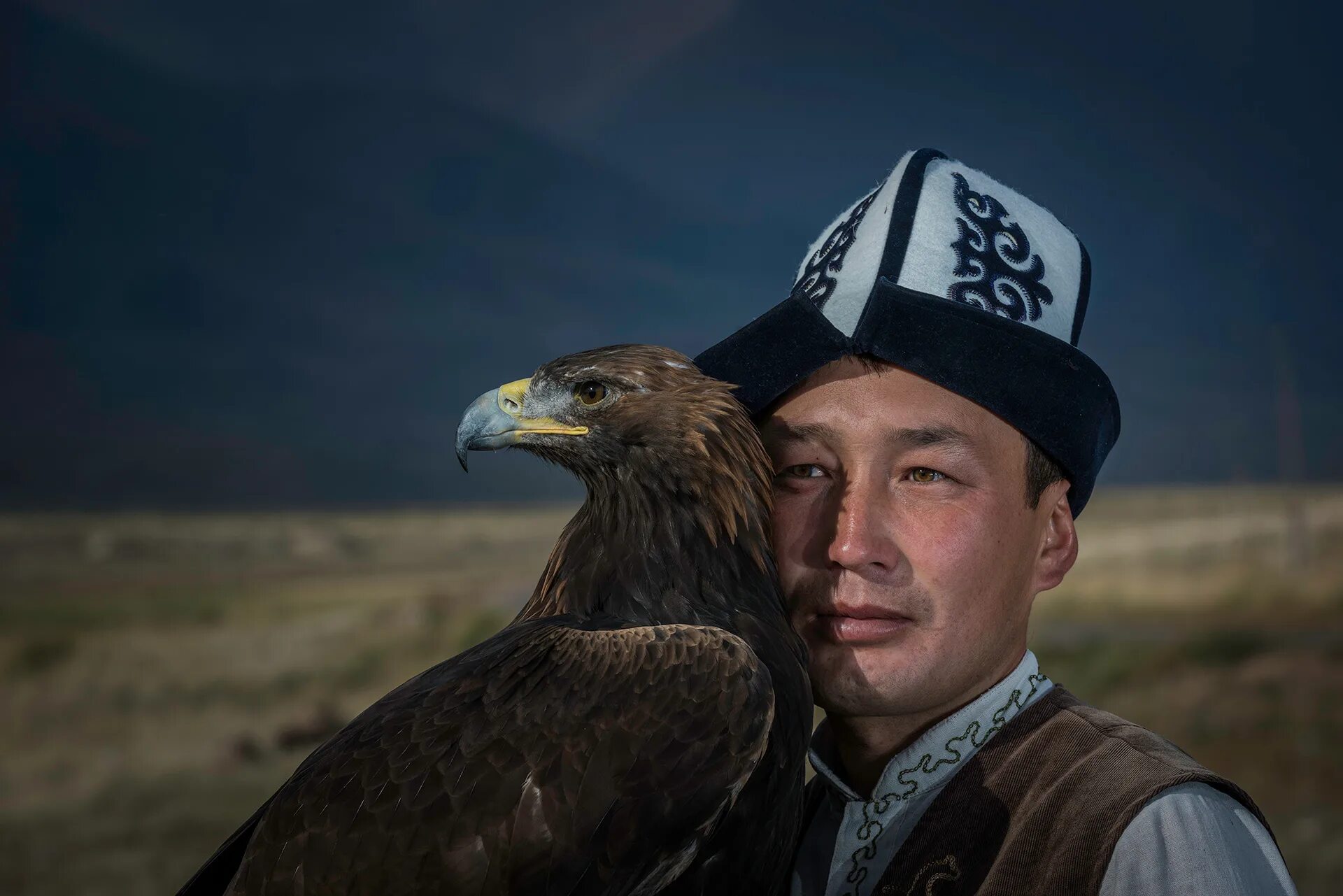 Монголиан сид. Беркут казахстан. Hunt eagle. Hunt eagle. Охота с беркутом.