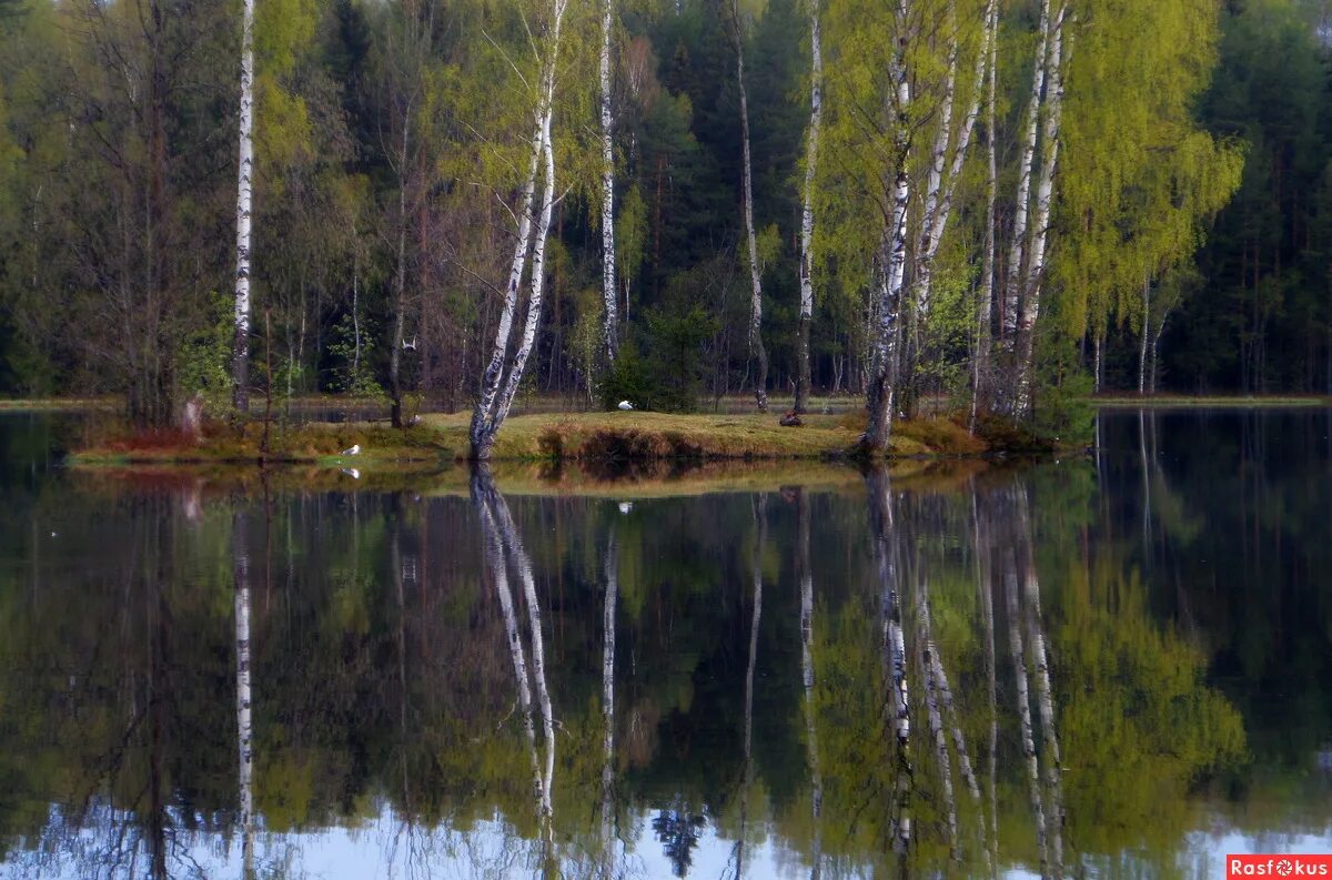 Остров весной весны. Остров весной весны. Весенний остров. Остров весной весны. Весенний остров.