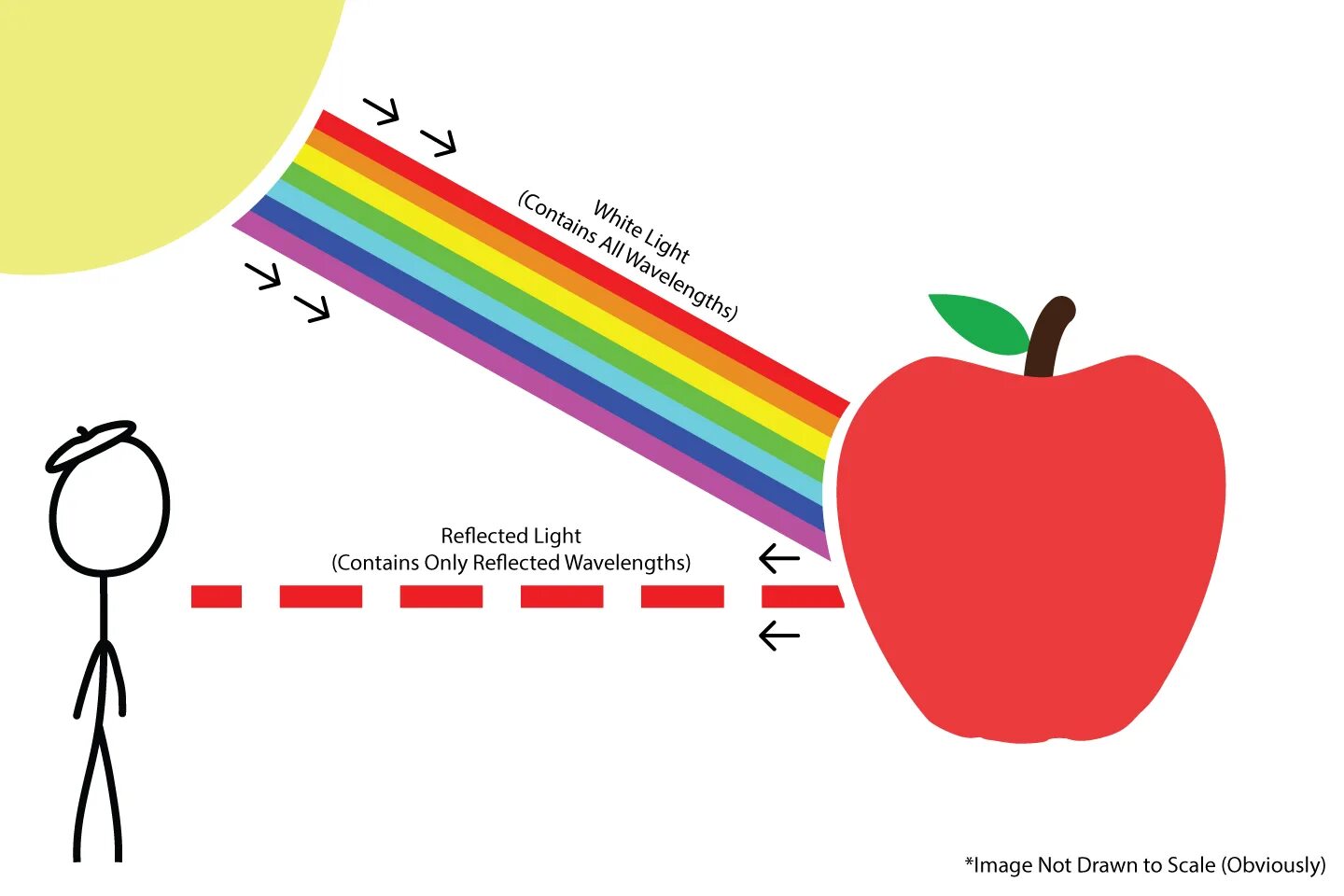 How do we as. How we see colors. refrectoin of light. light how do we see. color reflection.