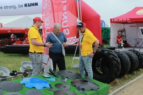 Спк золотая нива