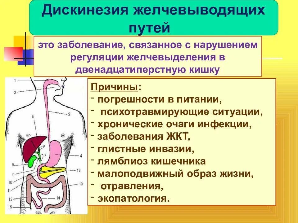 Дискинезия желчевыводящих путей. Дискинезии желчевывод. Путей. Причины дискинезии желчевыводящих путей. Дискинезия желчевыводящих путей симптомы.