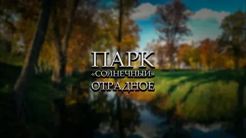 Солнечный отрадное
