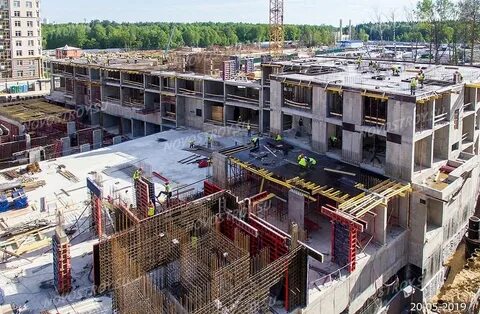 Sezar group отзывы