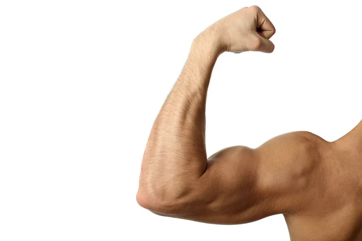Накаченные руки. Мужской бицепс. Красивый бицепс. Атлеты. Сильные руки.