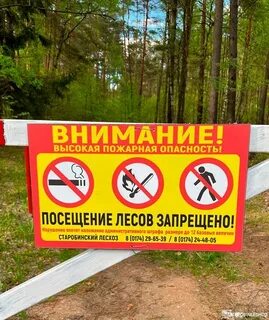 Ограничение пребывания граждан в лесах