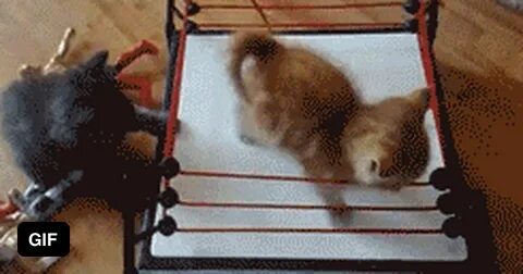 Пипец котенку 2 слушать