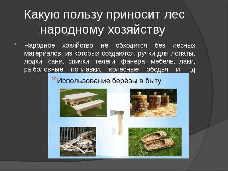 Какую пользу он приносит. Какую пользу приносит лес людям. какую пользу приносит. польза лесов. польза от леса для человека.