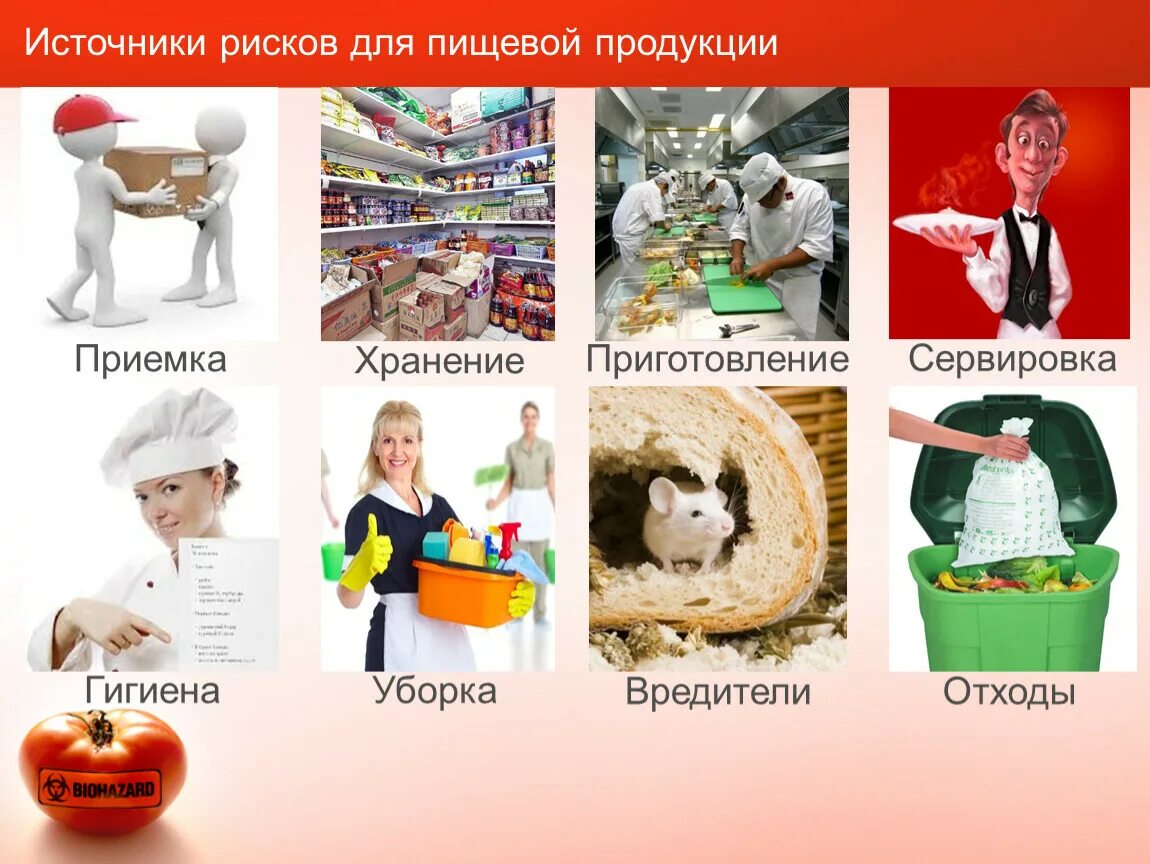 Технолог пищевого производства. Виды пищевых опасностей. Биологическая опасность хассп. Виды безопасности пищевой продукции. Безопасность питания.