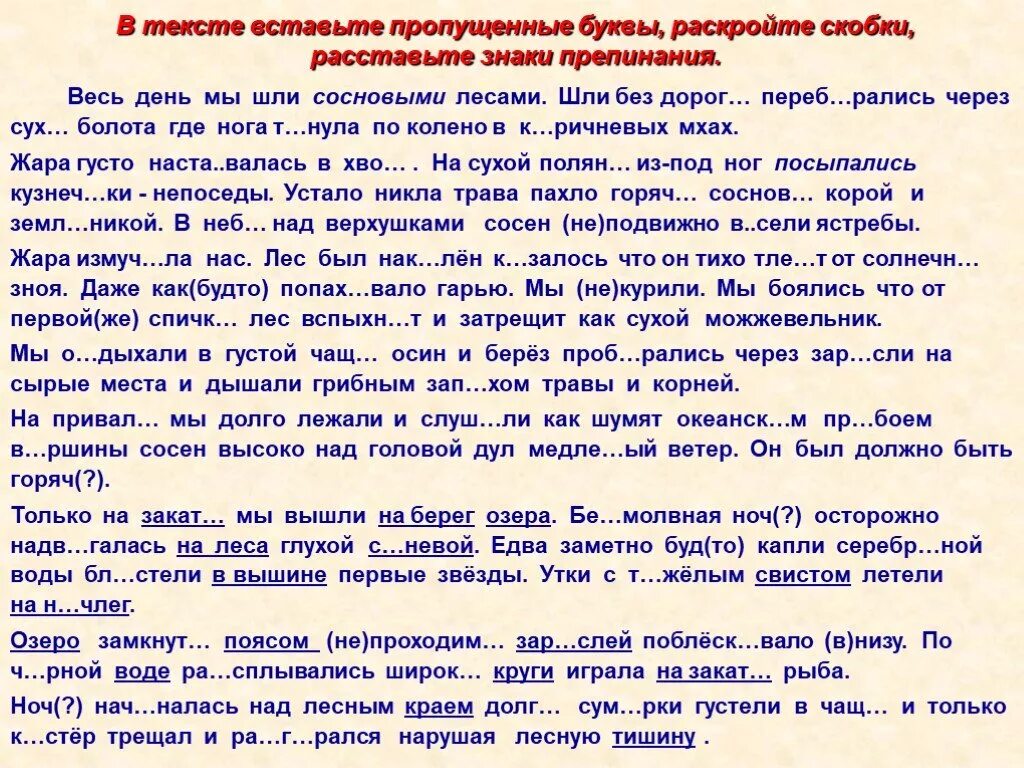 Весь день мы шли сосновыми лесами шли. Текст весь день мы шли сосновыми лесами. Текст. Диктант весь день мы шли сосновыми лесами.