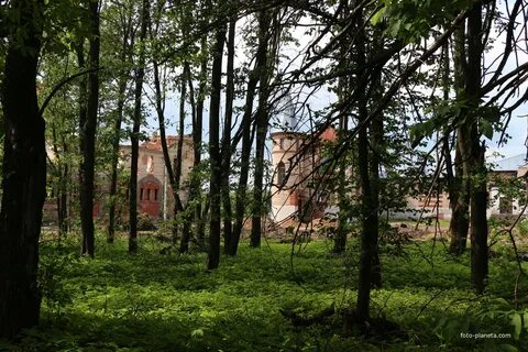 Погода муромцево судогодский
