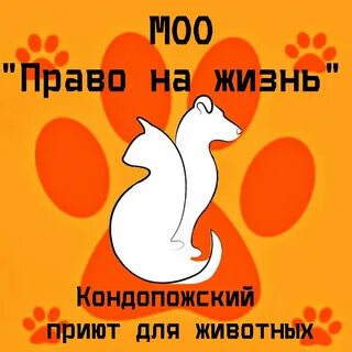 Право на жизнь воронеж