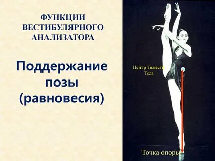 Поддержания равновесия тела человека