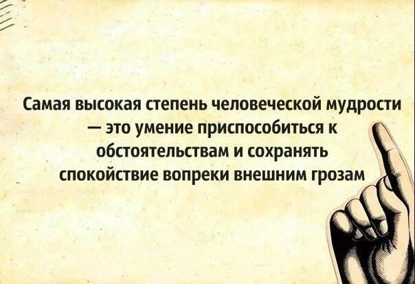 Высшее чего может достичь человек это мудрость. Высшая степень мудрости. самая высокая человеческой степень человеческой мудрости. самое главное спокойствие души. высший степени мудростью.