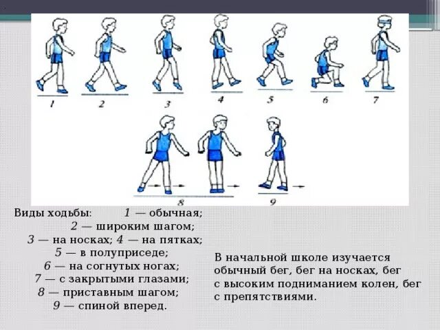 Виды ходьбы. Упражнения для развития ходьбы. Ходьба виды ходьбы. Ходьба на уроках физической культуры. Первый этап перед