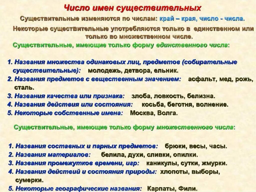 Слова употребляющиеся только во множественном. Число имен существительных. Число имен существительных 10 класс. Чимслоимен существительных. Чмслр имён существительных.