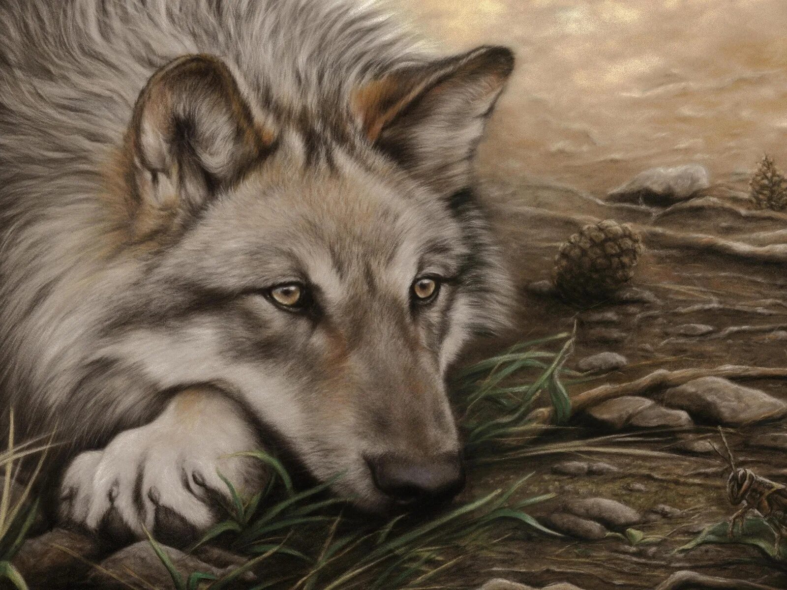 женщина волк одиночка. я одинокая волчица. женщина волк одиночка. одинокая волчица ищет своего среди мужчин.