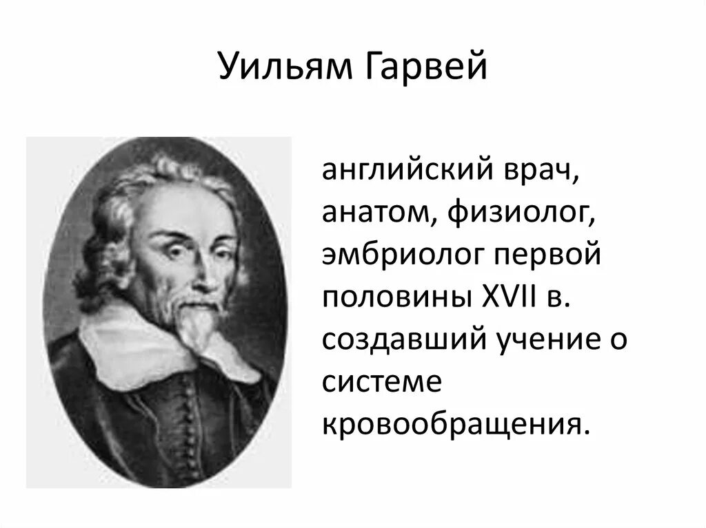 Известный ученый физиолог. Английский врач Уильям Уильям Гарвей. Гарвей ученый 17 века. Английский ученый Гарвей 1628. Учёный английский врач Уйльм Гарвей.