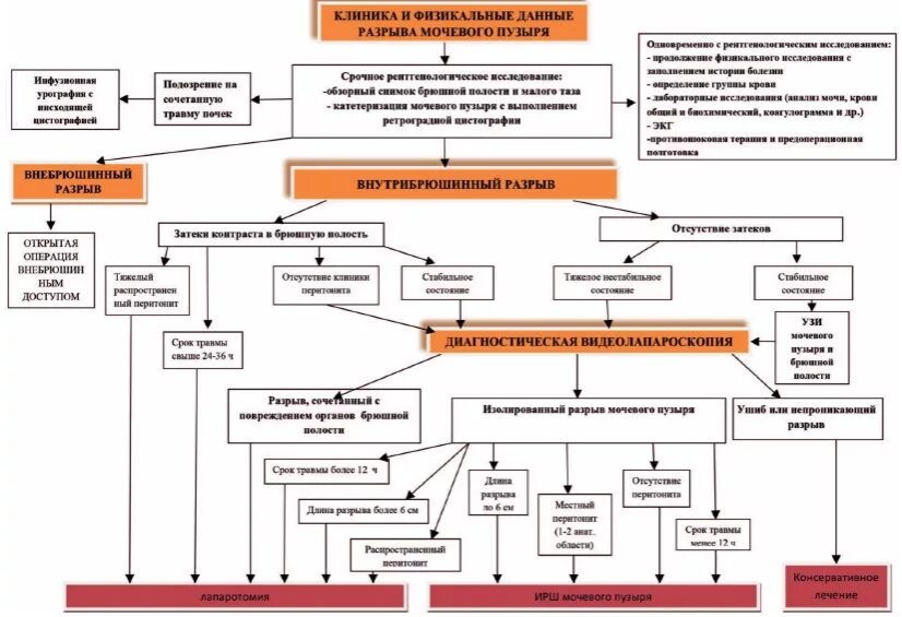 Как понять что лопнул мочевой. Сфинктер мочевого пузыря. Повреждение мочевого пузыря. Переполненный мочевой пузырь девушки. Может ли разорваться мочевой пузырь.