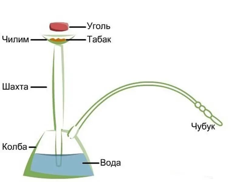 Принцип работы кальяна как устроен. Принцип действия кальяна схема. Принцип работы кальяна как устроен кальян. Устройство кальяна схема.