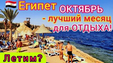 Горящие туры из москвы в ноябре 2024