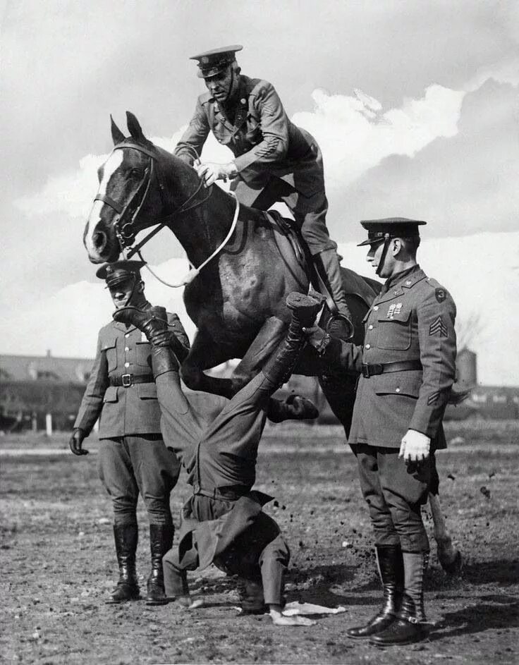 Кавалеристы 1930х. Кавалерист 20 века. Военный конь. Лошади на войне. Лихой наездник