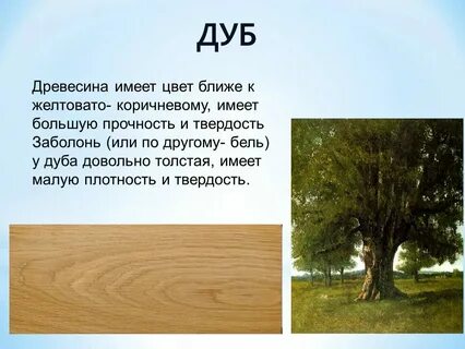 Песни со словом дуб
